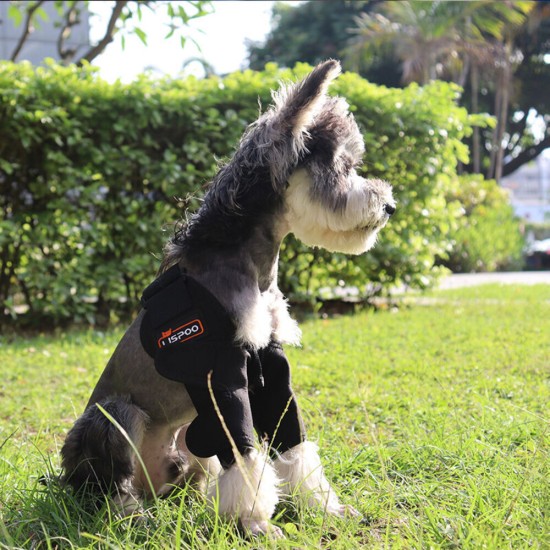 Dog Double Elbow Shoulder Brace