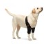 Dog Double Elbow Shoulder Brace