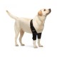 Dog Double Elbow Shoulder Brace