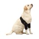 Dog Double Elbow Shoulder Brace