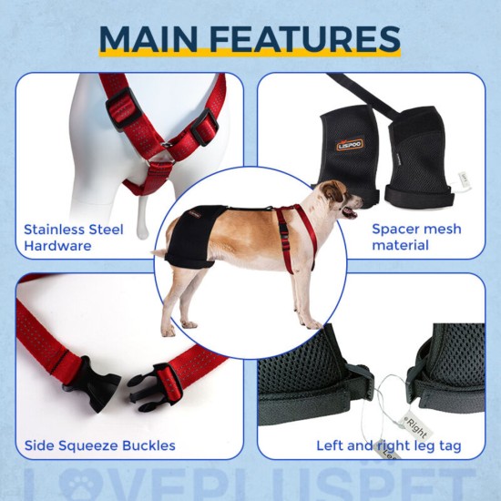 Dog Hip Dysplasia Brace