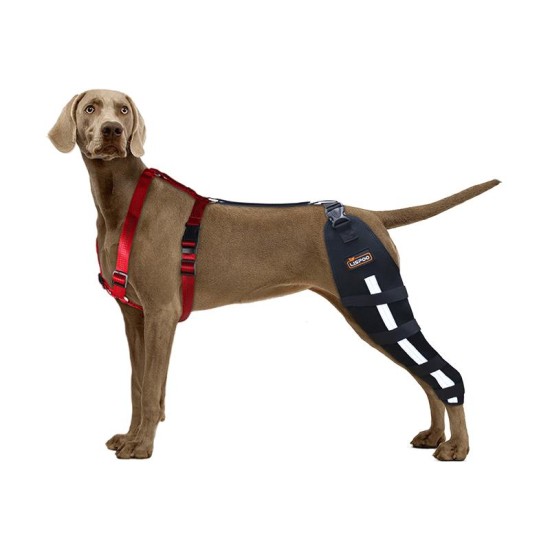 Dog Knee Brace