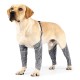 Dog Leg Protective Covers Anti-Licking Anti-Dirt