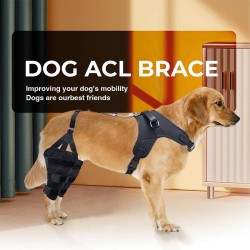 Golden Retriever Double Hind Leg Hinged Knee Brace