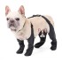 Waterproof Anti-Slip Dog Boots