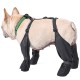 Waterproof Anti-Slip Dog Boots